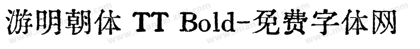 游明朝体 TT Bold字体转换